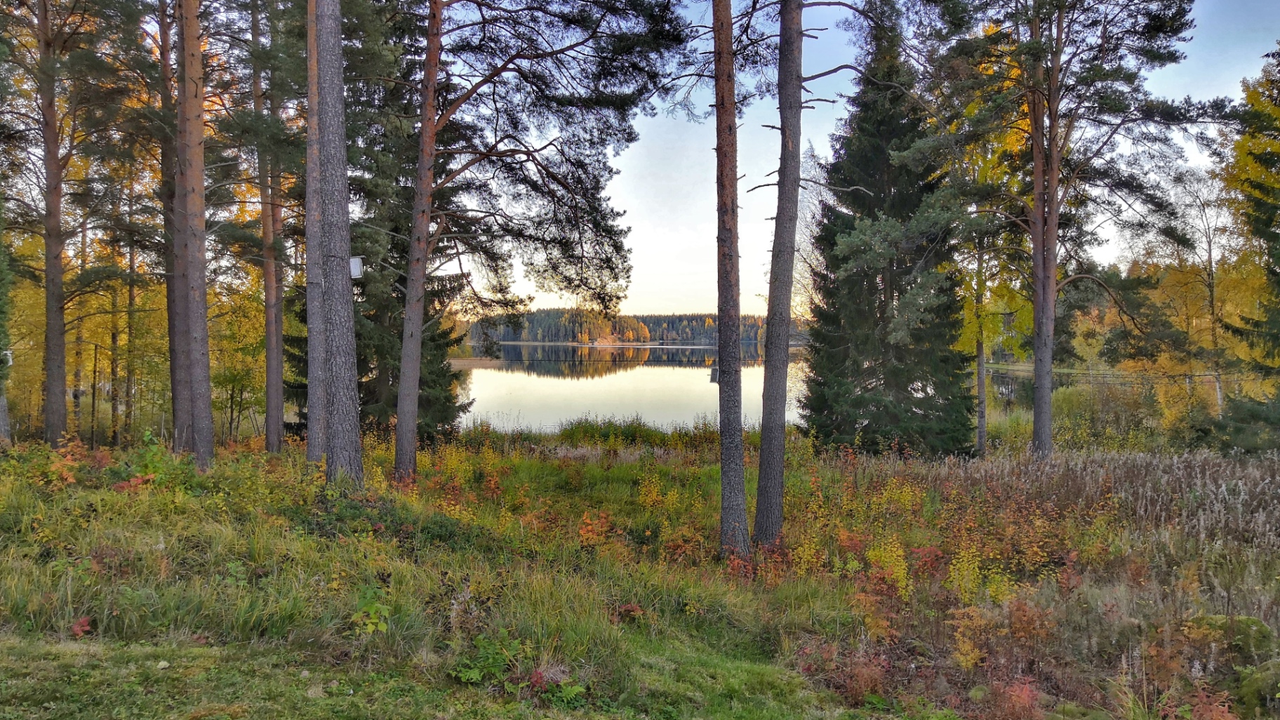 Lopenselän nykyinen ranta ja järvinäkymä